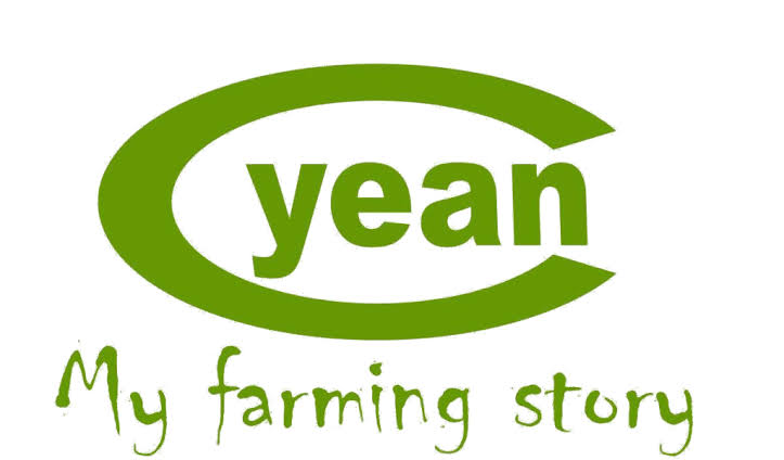 YEAN
