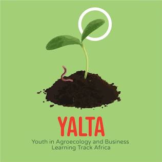 YALTA INITIATIVE